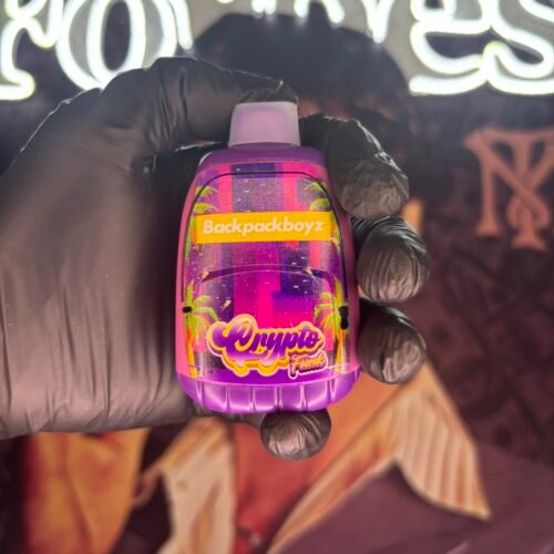 BACKPACKBOYZ CRYPTO FUNK (HYBRID) 2GR