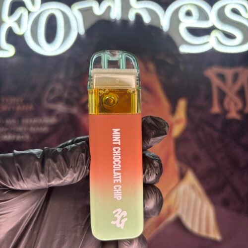 MINT CHOCOLATE CHIP 1 BYFAVORITES MINT CHOCOLATE CHIP (INDICA) 3GR