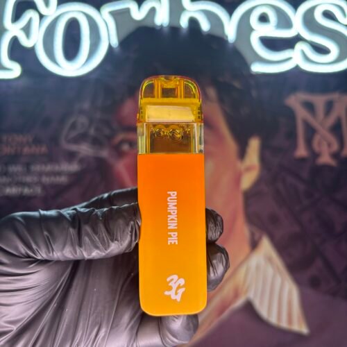 PUMPKIN PIE 1 BYFAVORITES PUMPKIN PIE (HYBRID) 3GR