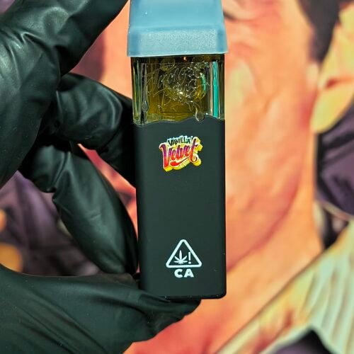 VAINILLA VELVET 2 JUNGLE BOYS NEGRO VAINILLA VALVELT (HYBRID) 2gr