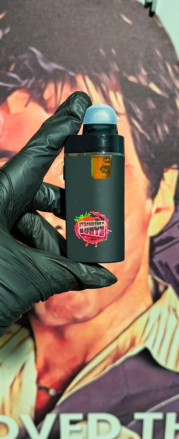 HABIBI & STRAWBERRY RUNTZ 5 MUHA MEDS DUAL HABIBI & STRAWBERRY RUNTZ (HYBRID & SATIVA) 2gr