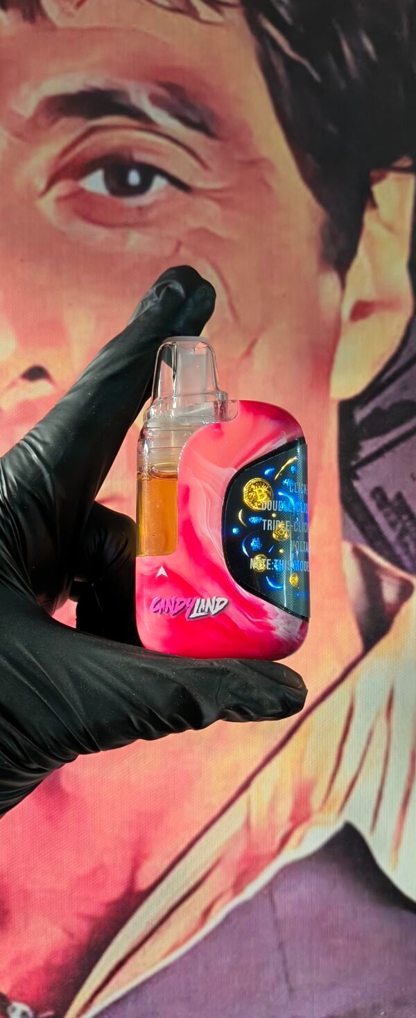 MONROCK CANDYLAND 4 MOONROCK CANDYLAND & SUNSET SHERBERT (HYBRID) 2gr