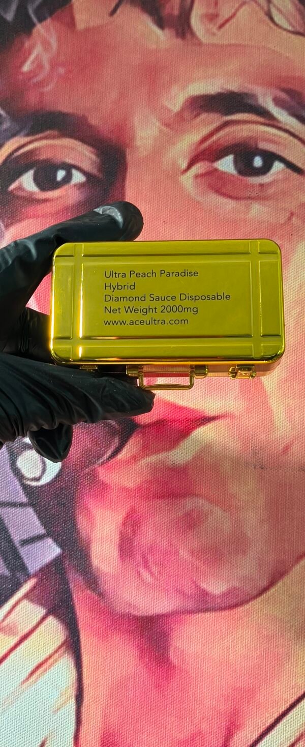 ULTRA PEACH PARADISE 1 ACE ULTRA PREMIUM ULTRA PEACH PARADISE (HYBRID) 2gr